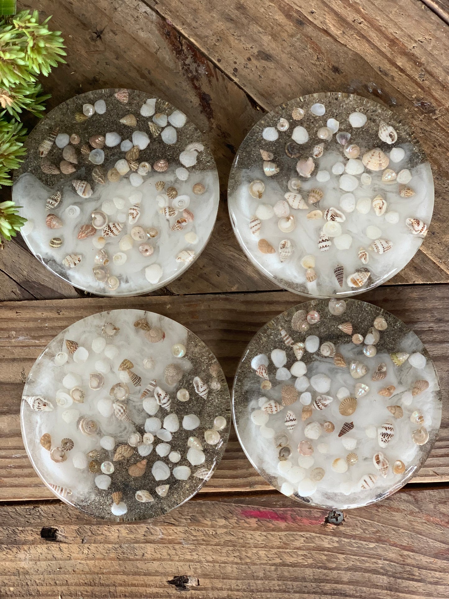 Sea Shell Coaster - Set of 4